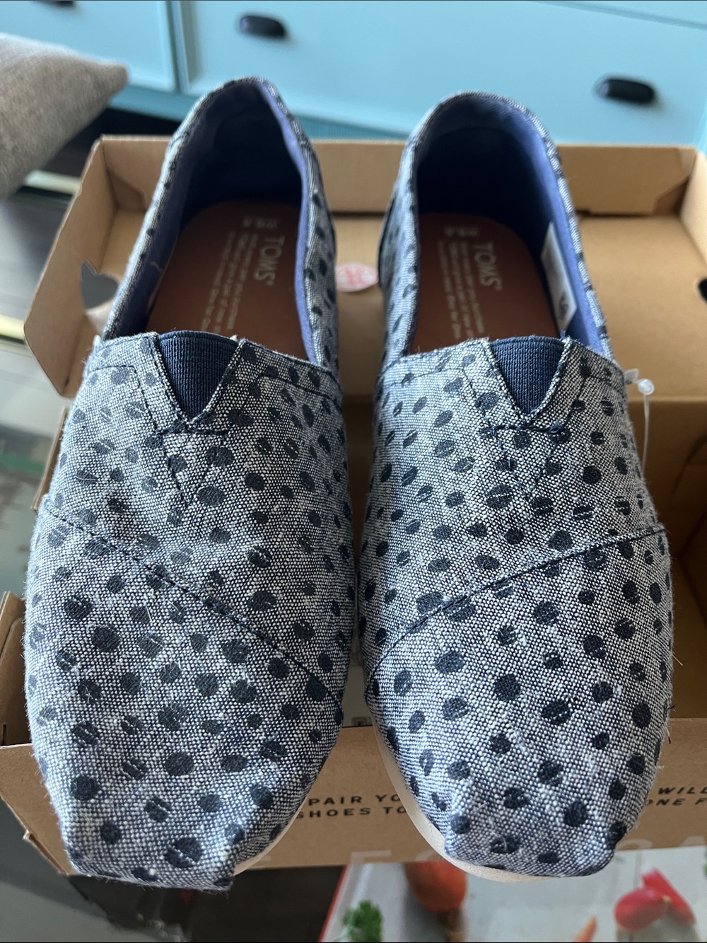 Toms Woman's Gray Canvas Slip-On with Black Polka Dots
